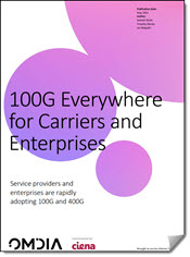 100G Everywhere for Carriers and Enterprises Report image