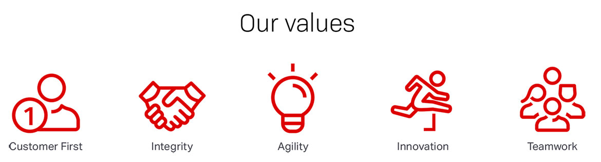 Ciena Values icons