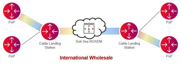 Figure 4_International Wholesaler Network Illustration