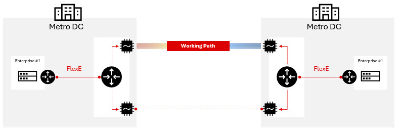 FlexE metro data center connectivity diagram