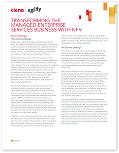 Transforming the Managed Enterprise Services Business with NFV white paper thumb