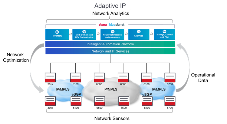 Ciena Adaptie IP diagram