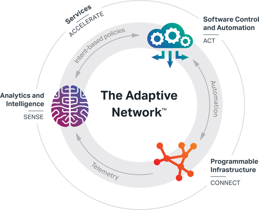 The Adaptive Network diagram