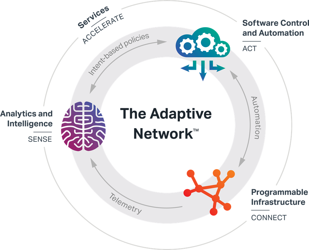 Adaptive Network diagram 2019