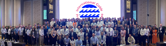 Picture of 2024 ICPC Plenary delegates 