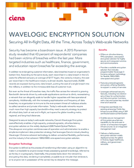 WaveLogic Encryption Solution document preview