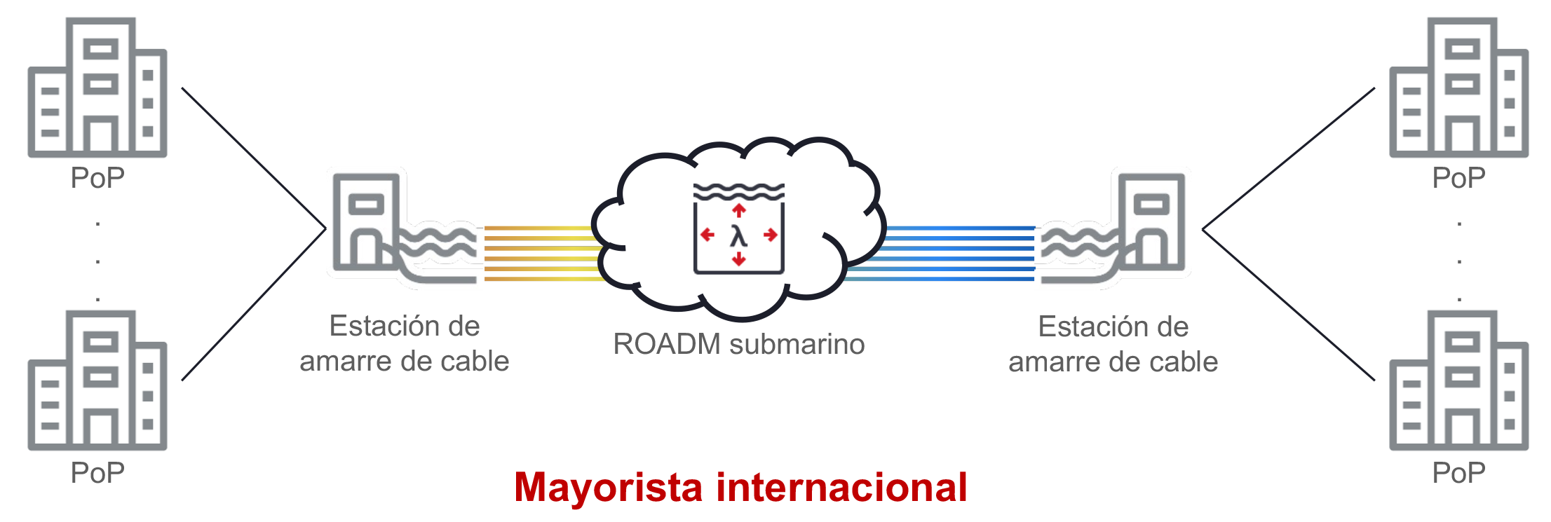 Figure 3_International Wholesaler Network Illustration