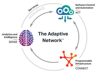 The wheel illustration the Adaptive Network framework