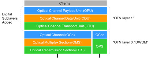 OTN Information Structure diagram