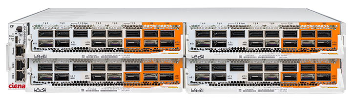 Waveserver Family