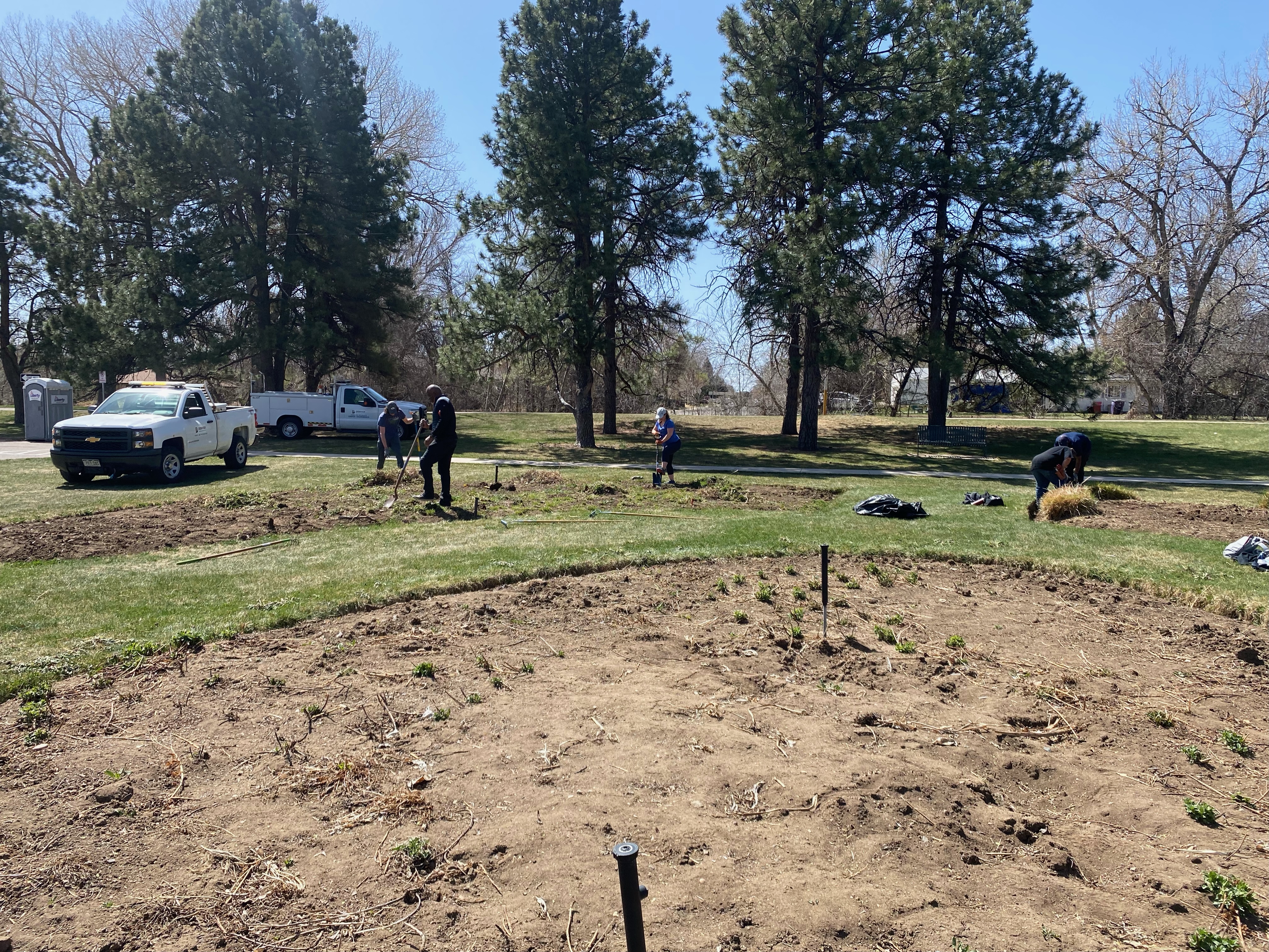 people gardening in an open field