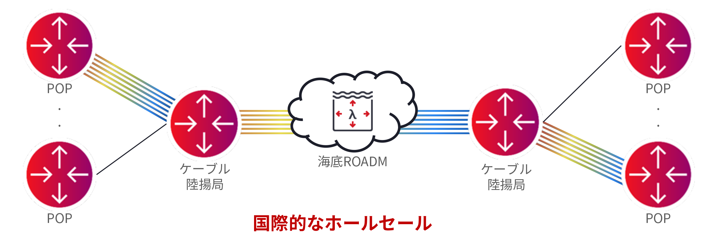 Figure 4_International Wholesaler Network Illustration