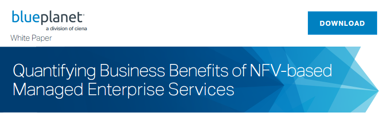Quantifying Business Benefits of NFV-based Managed Enterprise Services white paper promo