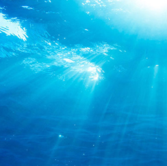 Rays of light underwater