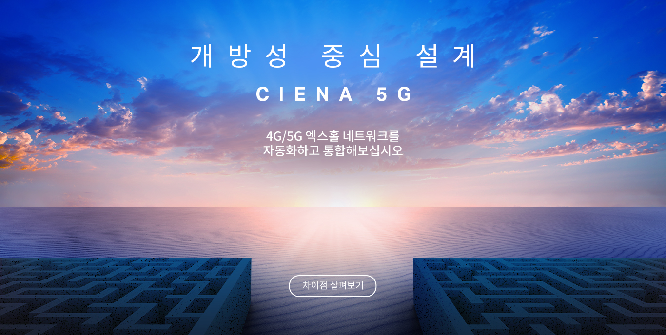 Korean translation for the ciena 5g homepage brand canvas