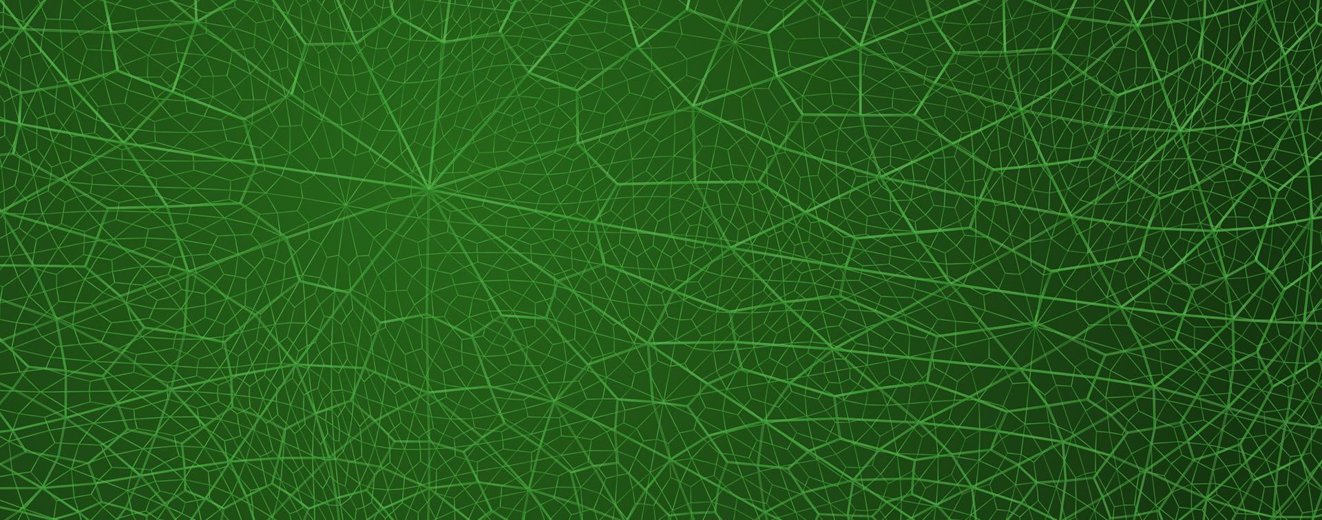 Green mesh background