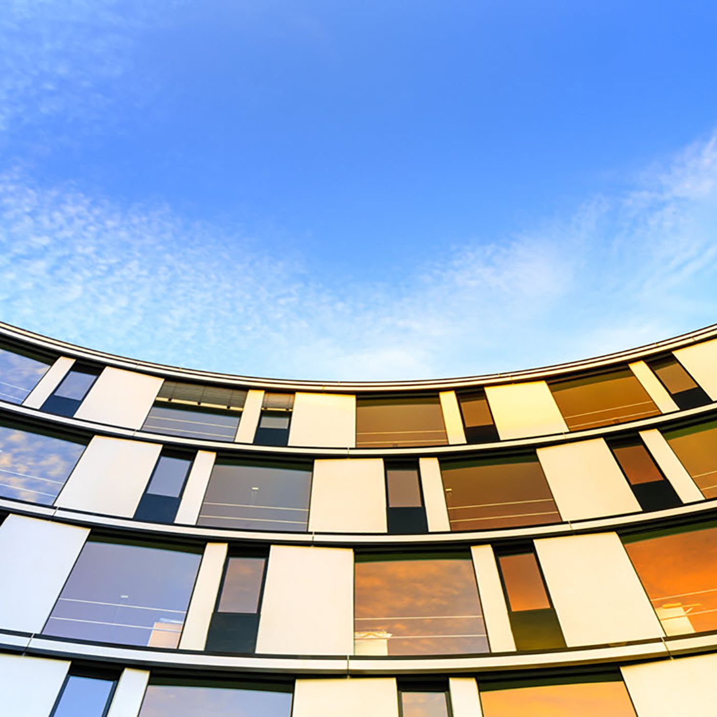 Ciena Network Insights