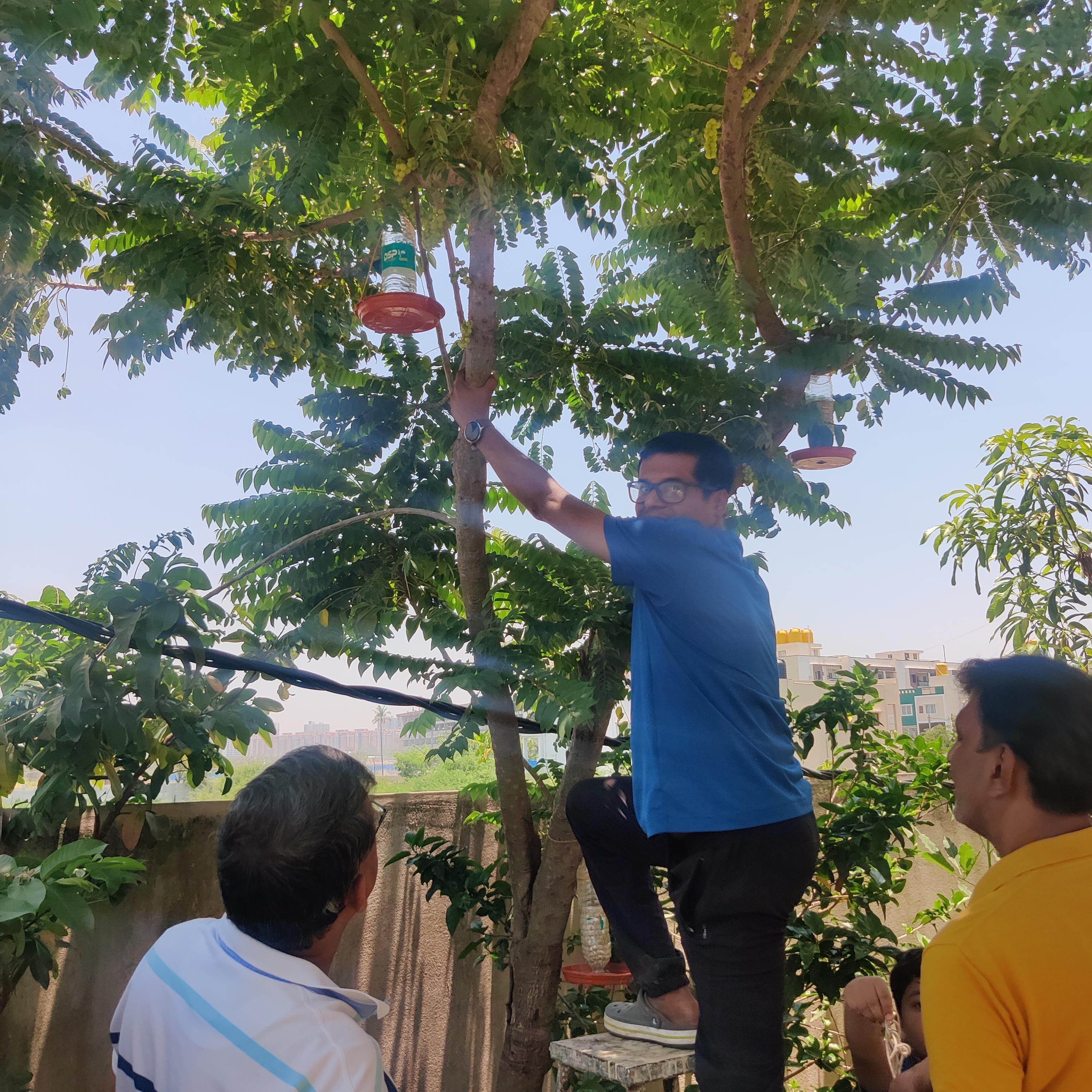 Man putting a bird feeder in a tree