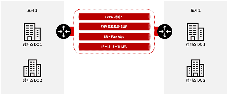 Enterprise campus interconnect architecture using EVPN, BGP, Segment Routing, and IP resiliency.