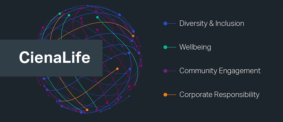 Globe made of different colored lines and points. Text of Diversity & Inclusion, Community Engagement, Wellbeing, and Corporate Responsibility
