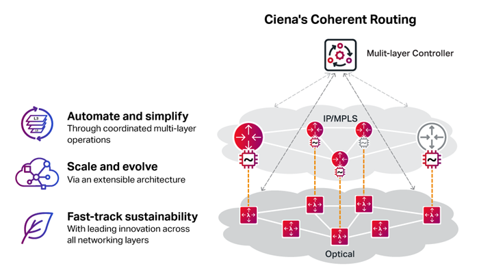 Ciena's coherent routing diagram