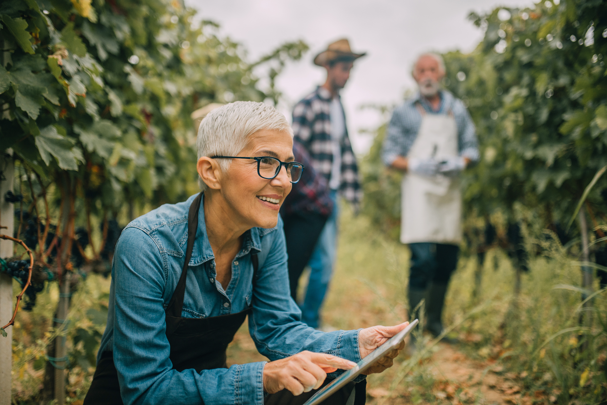 Woman in field with tablet